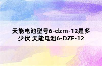 天能电池型号6-dzm-12是多少伏 天能电池6-DZF-12